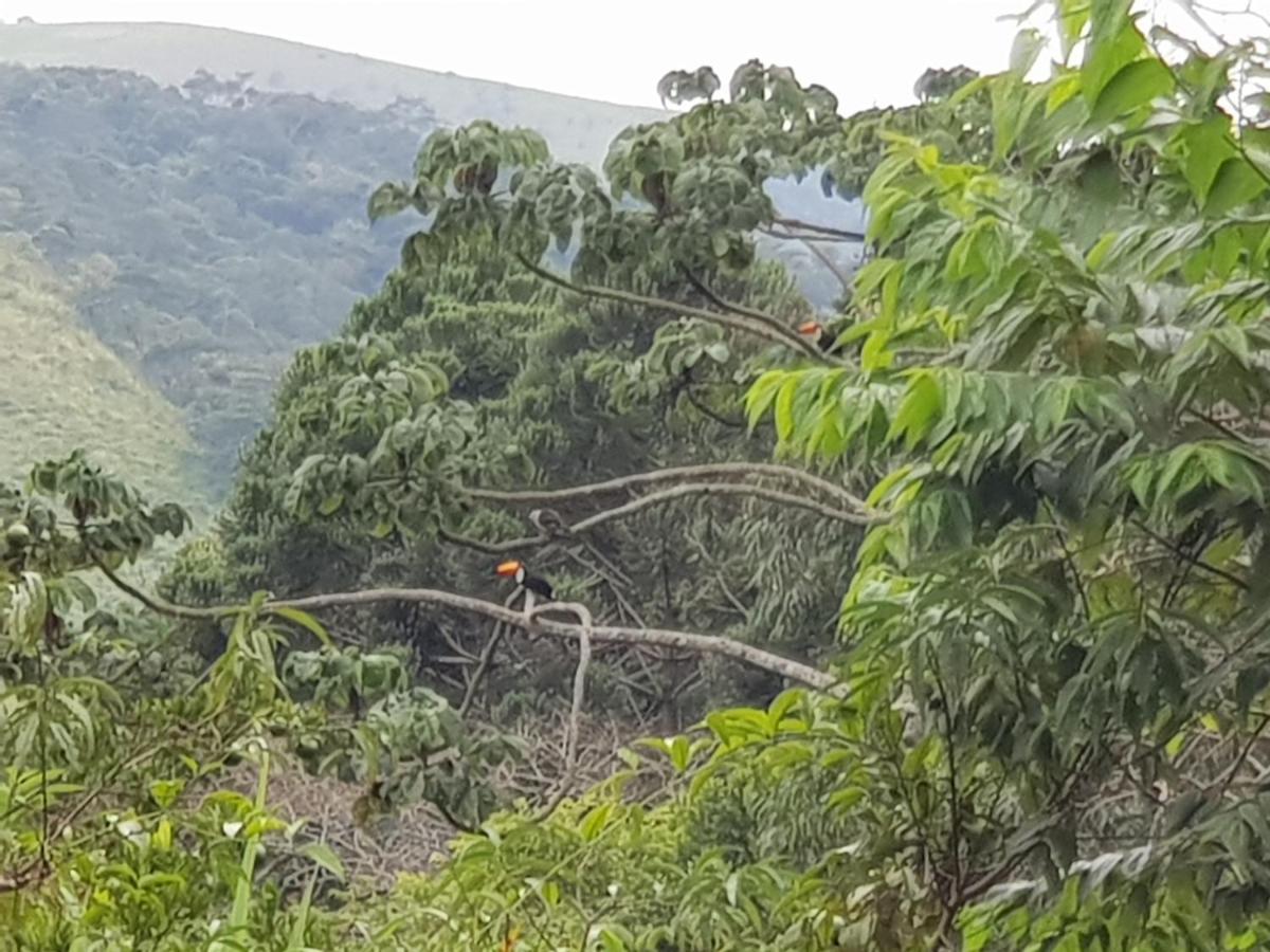 Vale Das Maritacas Teresopolis Villa Esterno foto