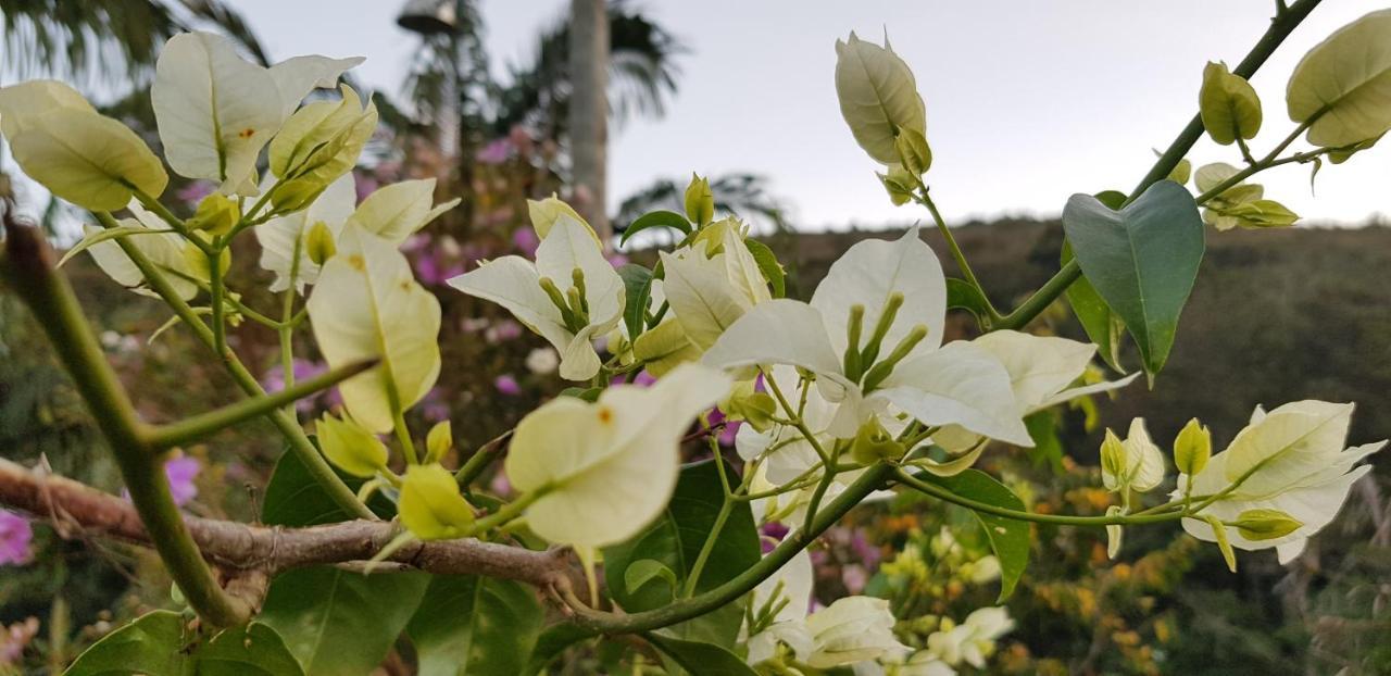 Vale Das Maritacas Teresopolis Villa Esterno foto