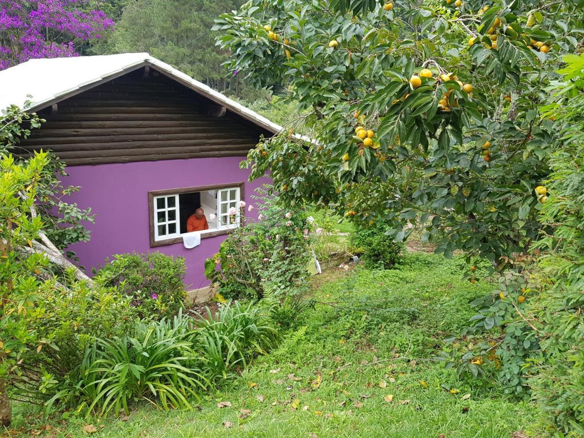 Vale Das Maritacas Teresopolis Villa Esterno foto