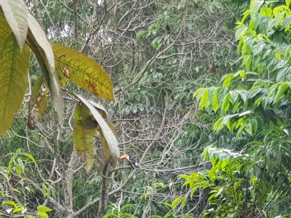 Vale Das Maritacas Teresopolis Villa Esterno foto